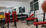 Lion Force Gym