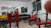 Lion Force Gym