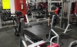 Lion's Gym