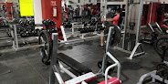 Lion's Gym