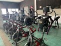 Ludus Gym