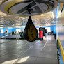 Ludus Magnus Boxing & Fitness
