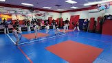 Martial Arts Taekwondo Arlington
