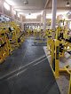 Master Gym