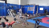 Master Gym & Bjj Chihuahua
