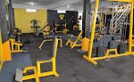 Monkeys Gym