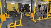 Monkeys Gym