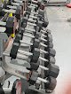 Muscle Lovers Gym