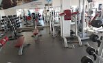 New Body