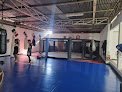 Osorio´s Mma. Osorio´s Vale Tudo Fighting System.