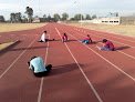 Polideportivo