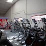 Quetzal Gym