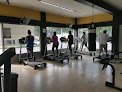 Rabbit Basic Gym