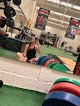 Ray Wilson Family Fitness Chihuahua