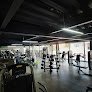 Rhinos Gym