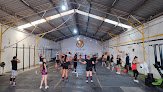 Seven: Nutrition & Elite Fitness.