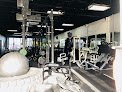 Shape Plus