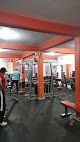 Tauro Gym