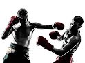 The Sugar Factory Inc - Virtual Boxing Gym Trainer