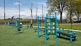Timberform Fitness - Calisthenics