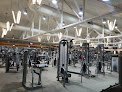 Gym  Club Fitness New York – Logra tus metas físicas aquí