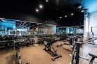Gimnasio Tmpl Fitness – Logra tus metas físicas aquí