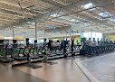Gym  La Fitness – Tu zona fitness