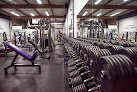 Gimnasio Pdx Muscle – Alcanza tus metas físicas aquí