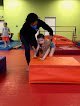Gimnasio The Little Gym Of Arlington/mansfield – Donde tu bienestar empieza
