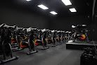 Gym Trybe Cycle – Donde tu bienestar empieza