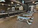 Gimnasio Tribe Fitness – Alcanza tus metas físicas aquí
