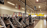 Gimnasio y Wellness Elite Physique Gym 24/7 – Entrena como te gusta